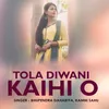 About Tola Diwani Kaihi O Song